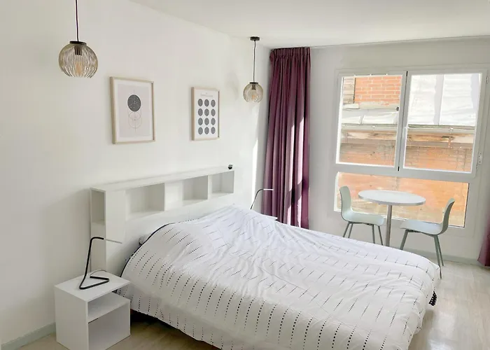 Proche Gare Et Sanctuaire Appartement Lourdes