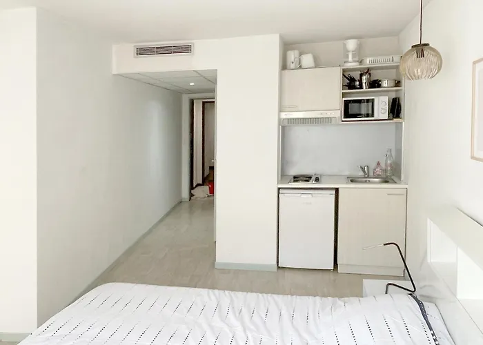 Proche Gare Et Sanctuaire * Lourdes